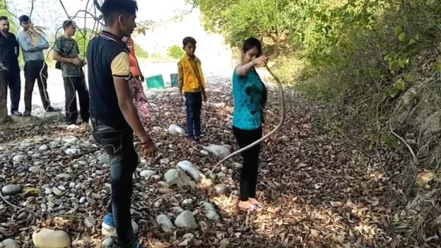 this girl has special connection with snakes also known as Vishkanya