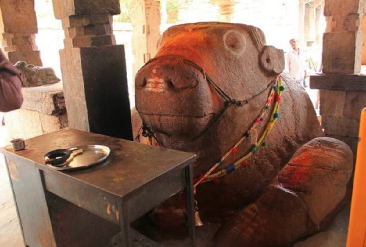 Nandi Statue Growing At Yaganti Uma Maheswara Temple In Andhra Pradesh