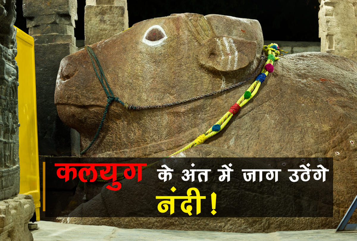 Nandi Statue Growing At Yaganti Uma Maheswara Temple In Andhra Pradesh