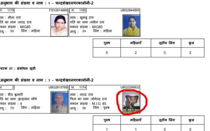 sunny leone elephant and dear are in voter list at up this district