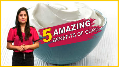 5 benefits of curd