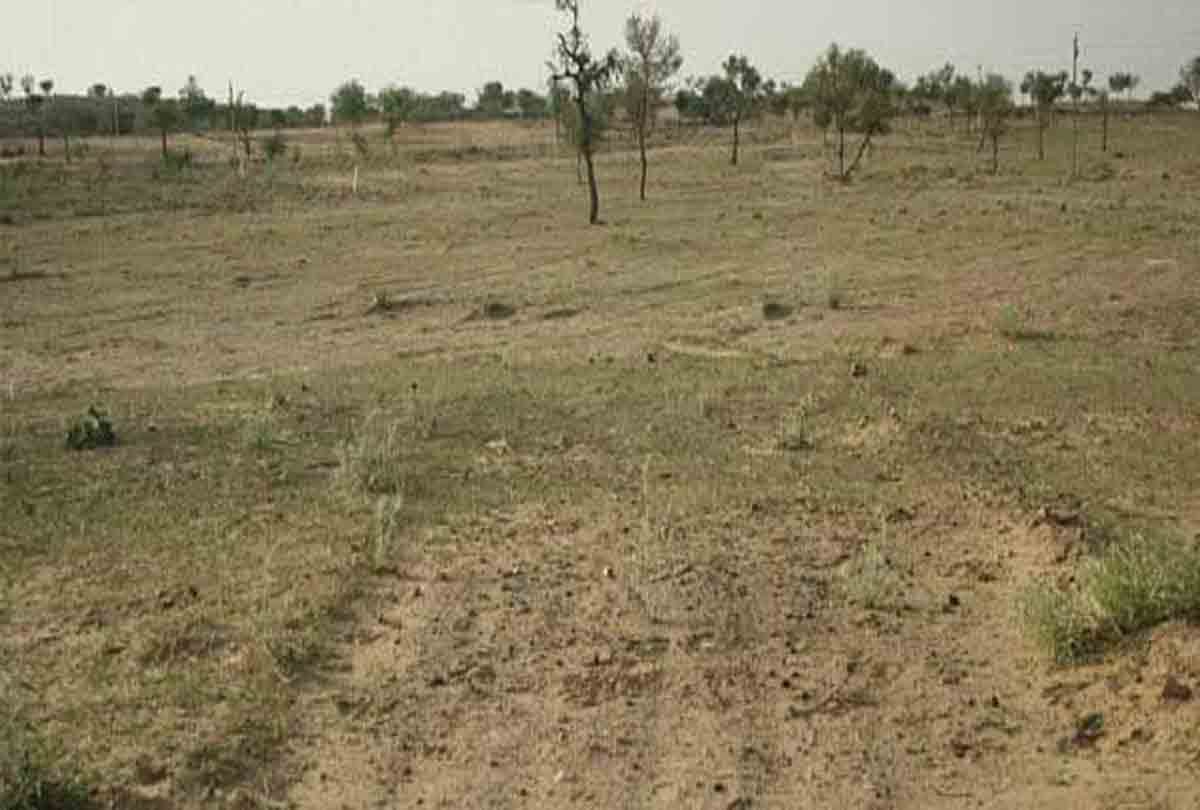 becoming care taker men sold temples properties in fatehpur
