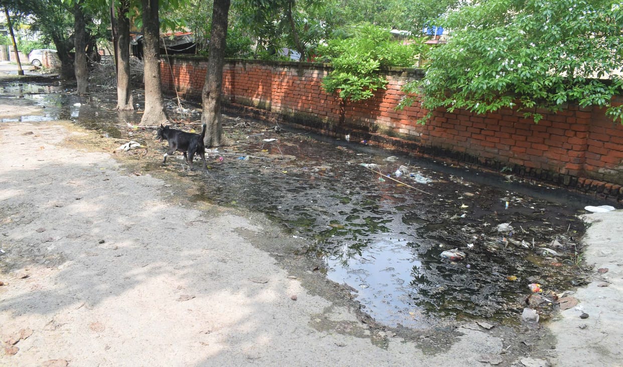 सरकारी आवास में नाली जाम व जल भराव,कर्मचारी परेशान