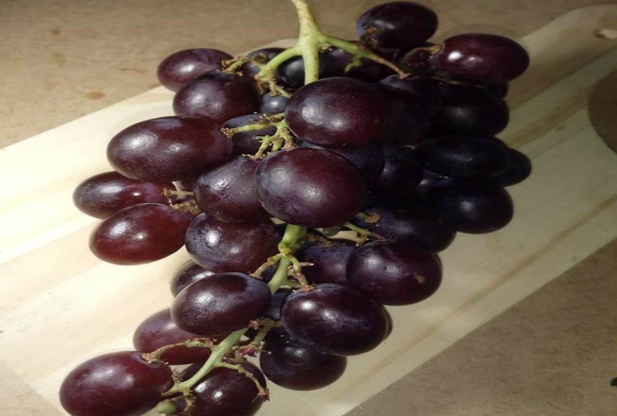 Ten Odd Interesting Food Related Facts
