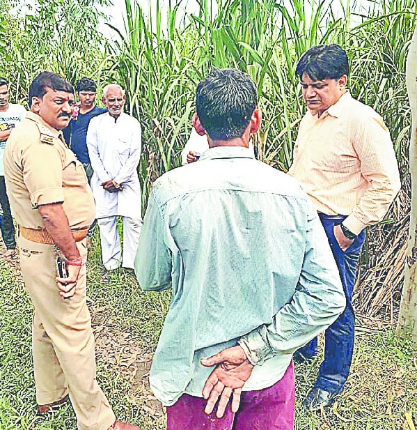 Overnight, forest department teams searched for leopards