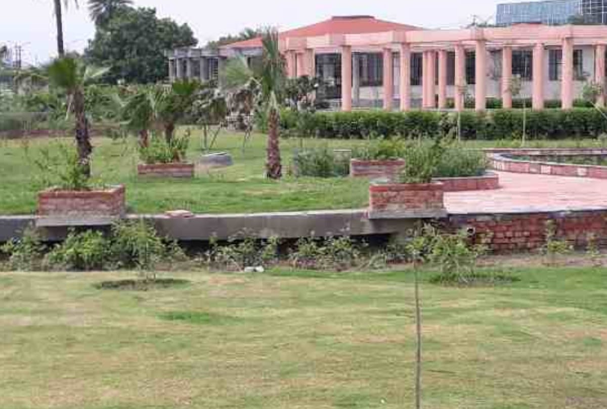 Herbal and medicinal plants in this noida park