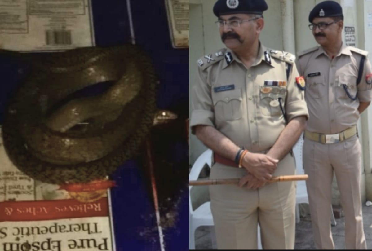 UP: ADG Office meerut policemen fear of several Cobra and officials called the Sapera
