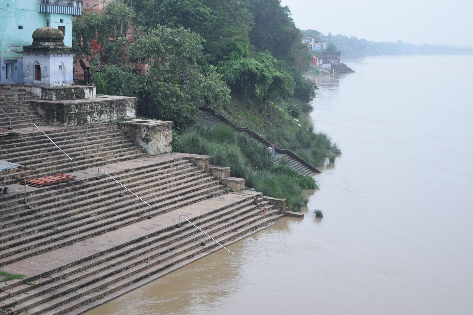 World Environment Day 2019: Different changes in environment due to global warming