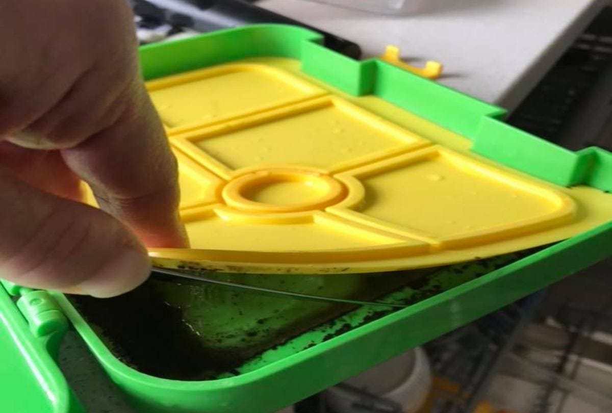 Plastic tiffin box for kids could be dangerous for health