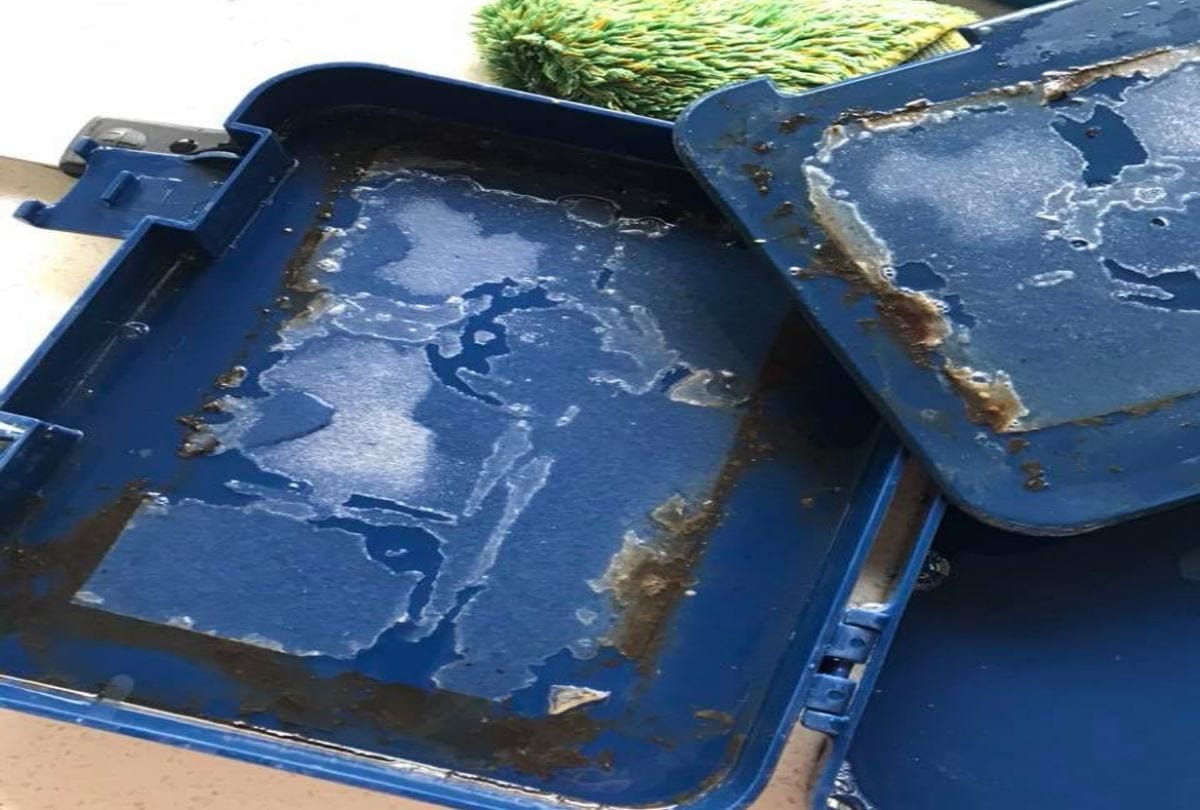 Plastic tiffin box for kids could be dangerous for health