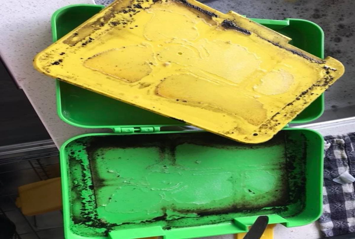 Plastic tiffin box for kids could be dangerous for health