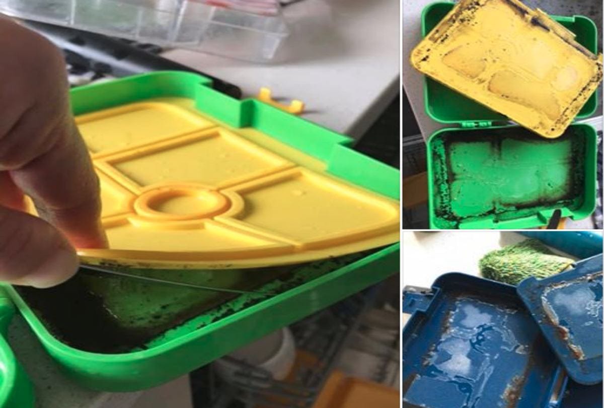 Plastic tiffin box for kids could be dangerous for health
