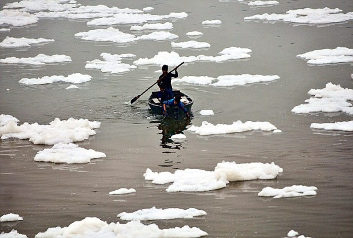 Delhi HC raps to Haryana on the issues ammonia in Yamuna water