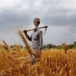 प्रतीकात्मक तस्वीर