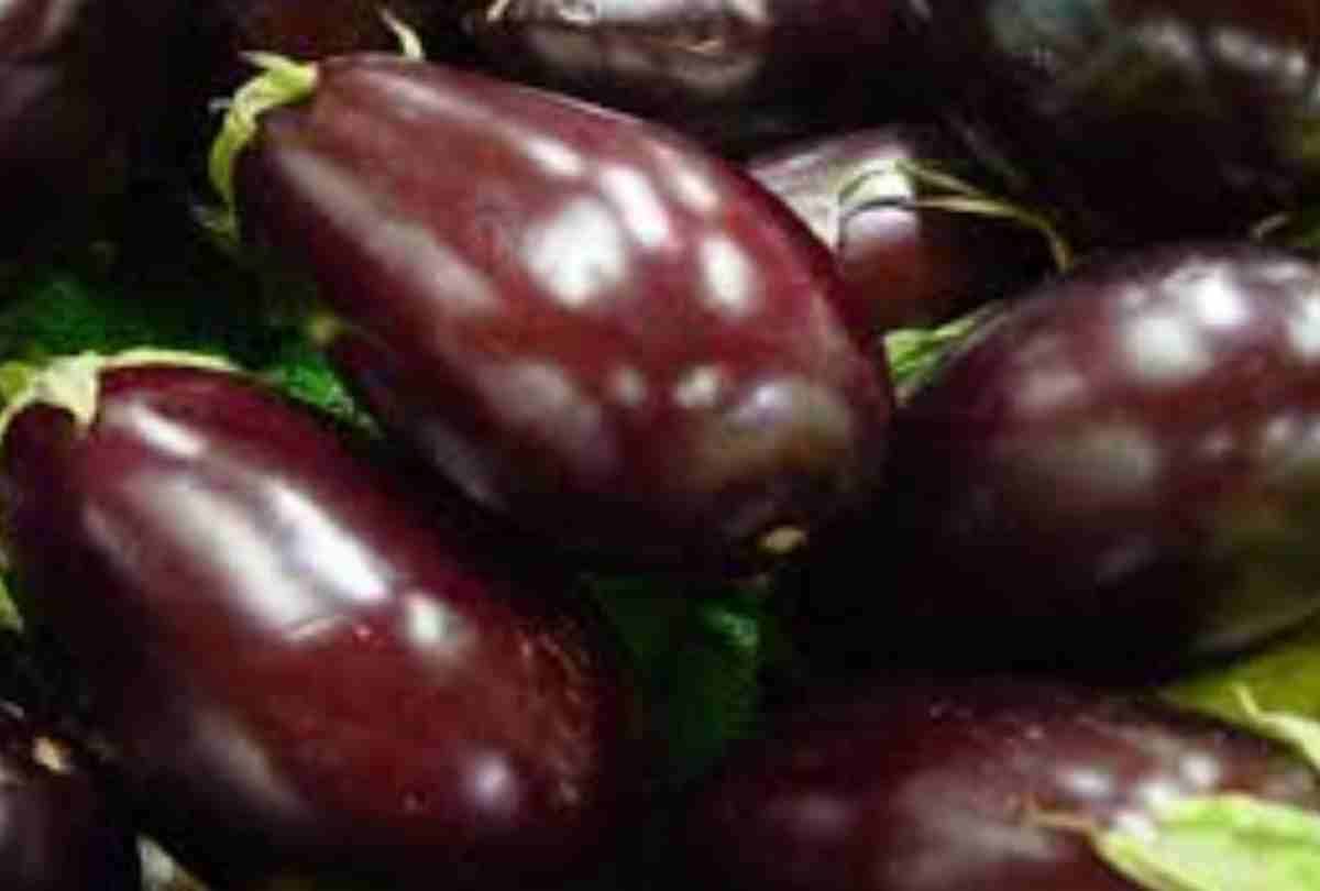 rate of vegetables hiked due to rain in lucknow