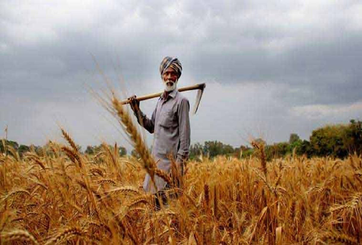 पंजाब का किसान