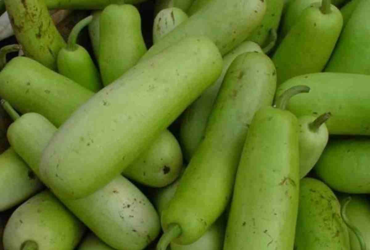 rate of vegetables hiked due to rain in lucknow