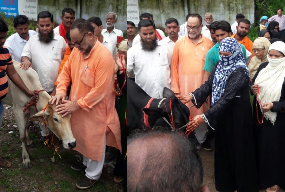 bukkal nawab celebrrates rakshabandhan with cows.