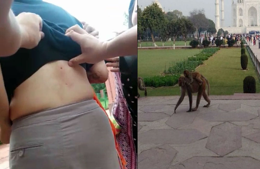 monkeys killed woman after 12 day old baby dies in agra