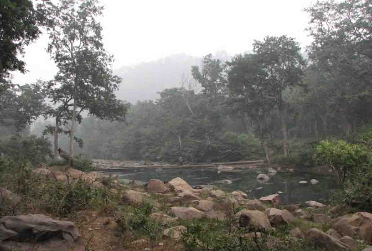 prize announces for Bandit queen Sadhna Patel