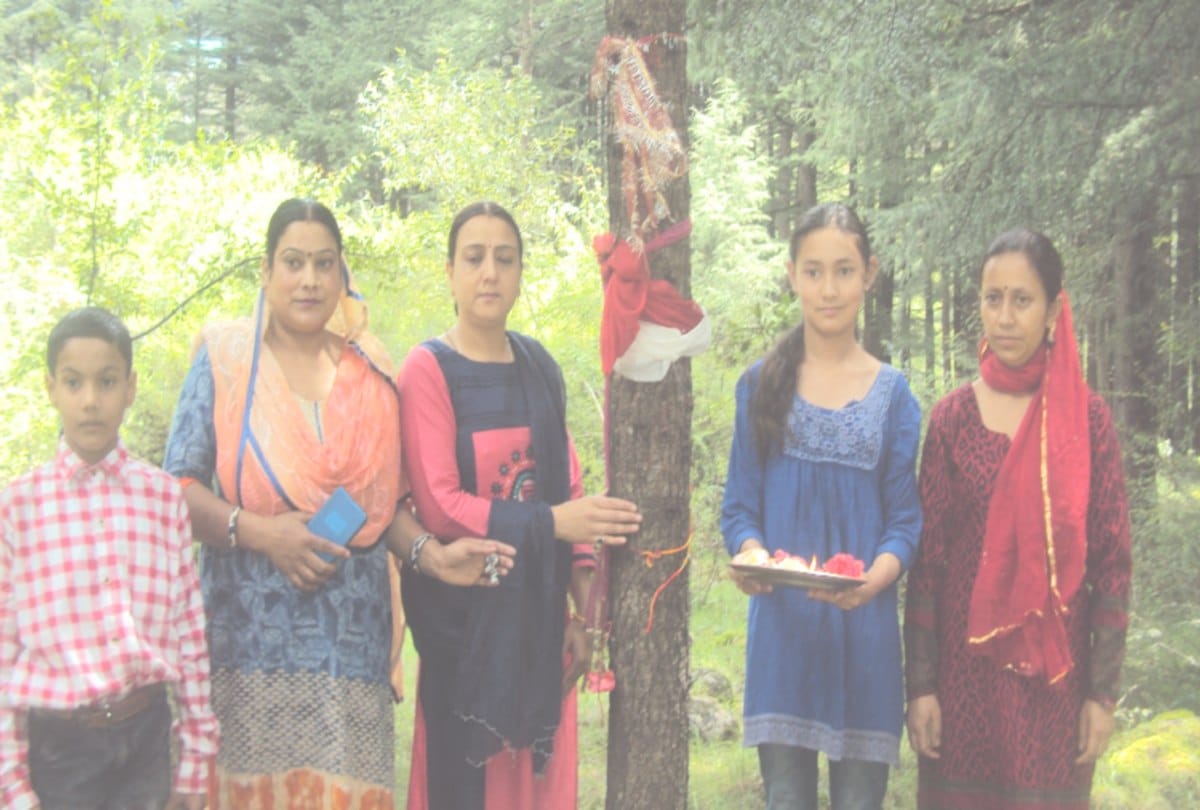 13 year old kalpana thakur will bind Rakhi to tree in manali