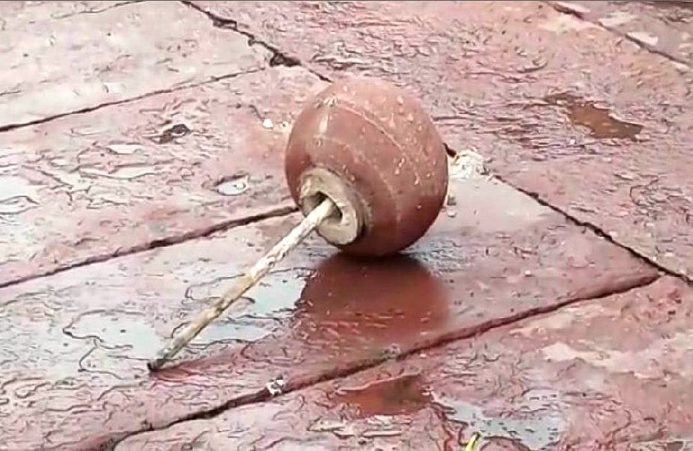 Monkeys damage Buland Darwaja of Fatehpur Sikri in Agra