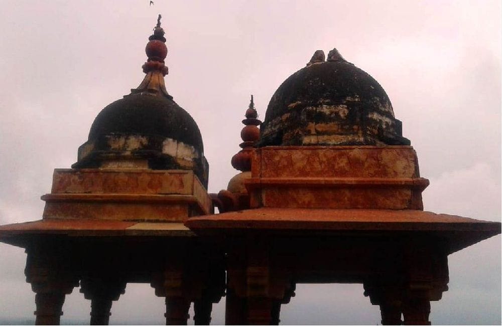 Monkeys damage Buland Darwaja of Fatehpur Sikri in Agra