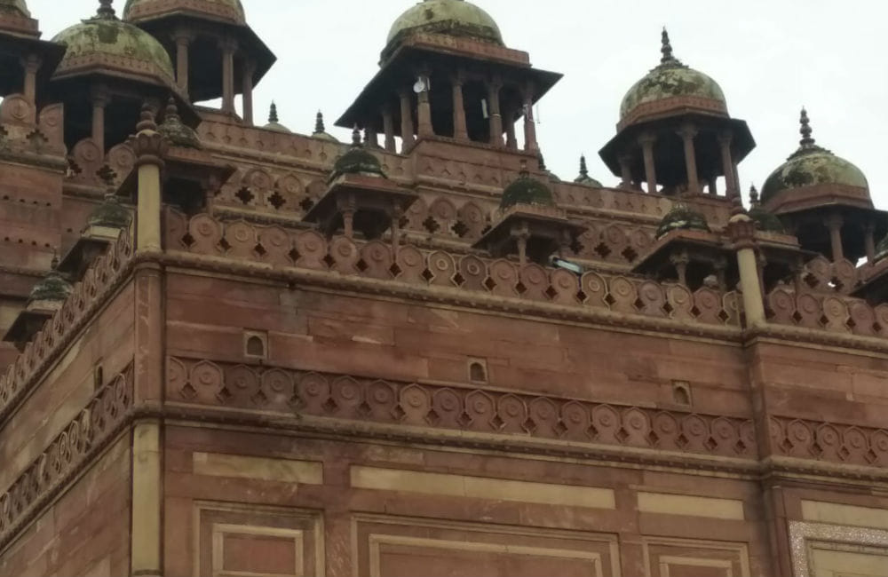 Monkeys damage Buland Darwaja of Fatehpur Sikri in Agra