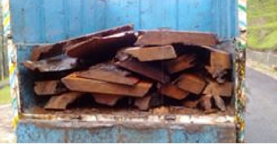 75 thousand penalty imposed on cutting of pine tree