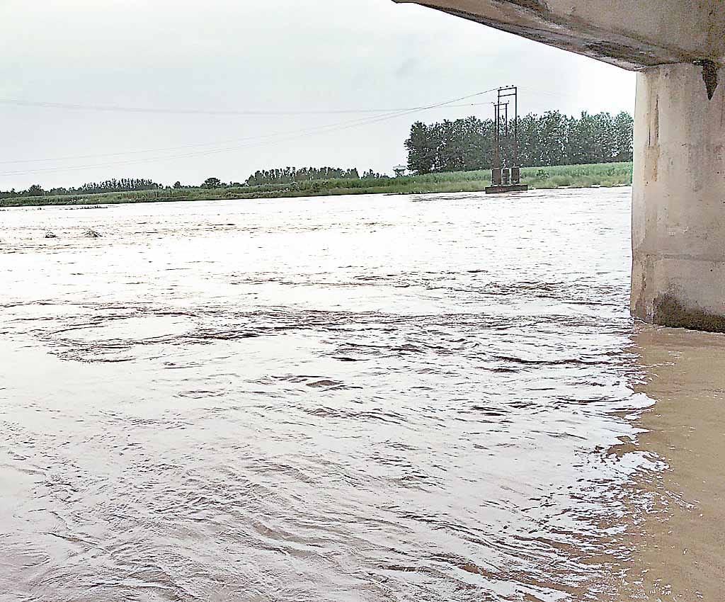 flood in kosi river