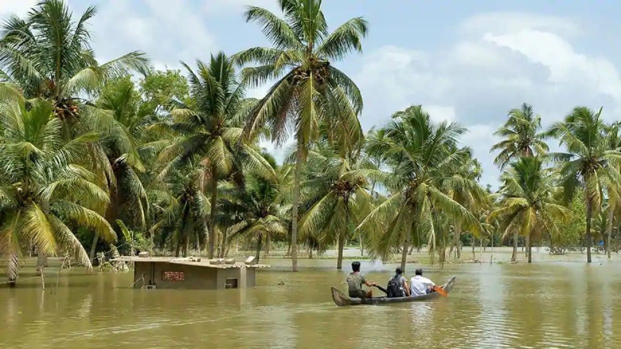 Record 41 million people displaced within their countries due to Violence and natural disasters