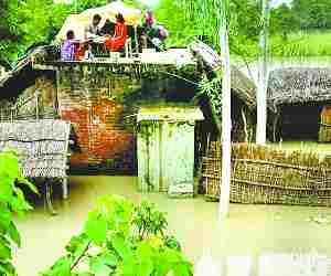 Four houses drowned in flood