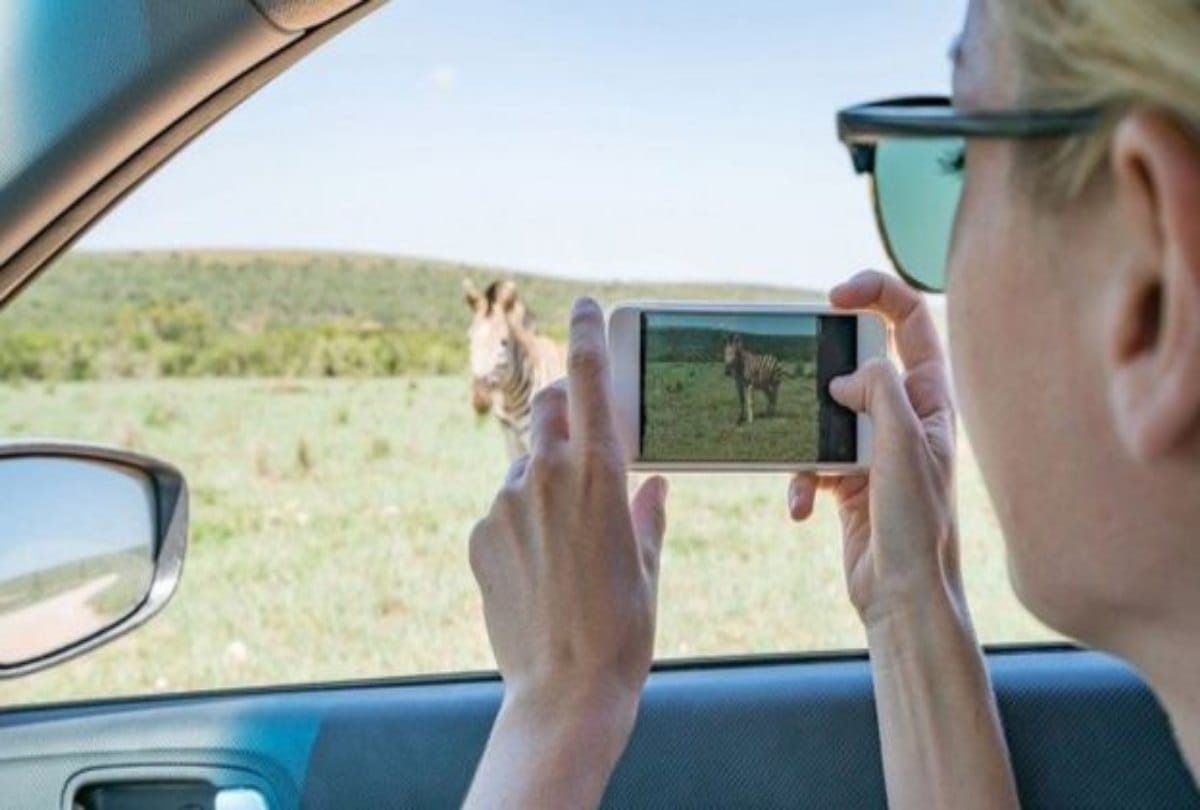 Know How Your Internet risky for Wildlife