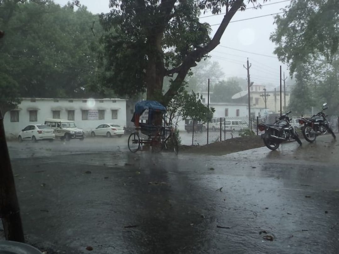 Rainfall in different states of India in this year