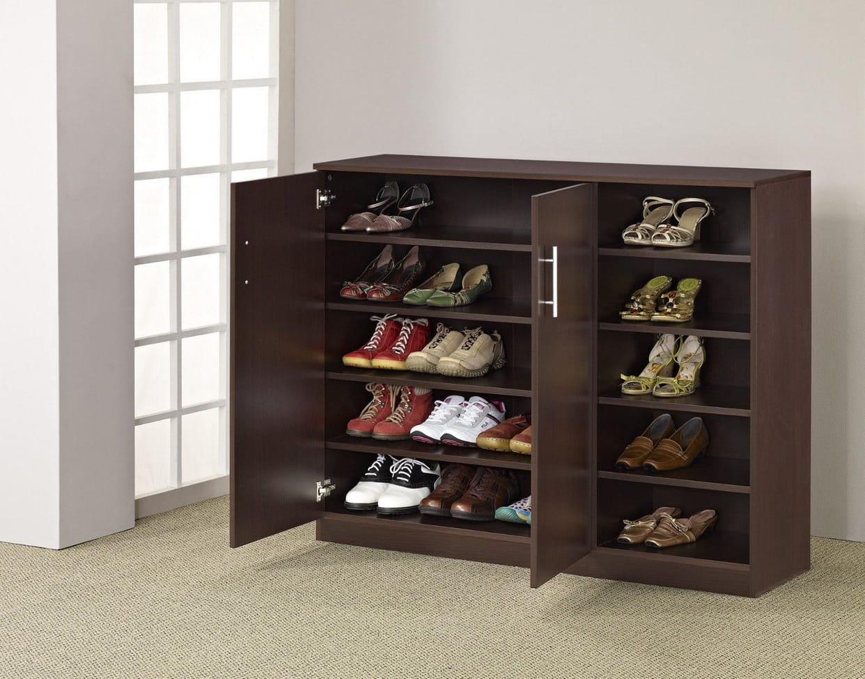 vastu and astro tips for shoe