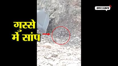 Viral video of snake fighting with jcb machine