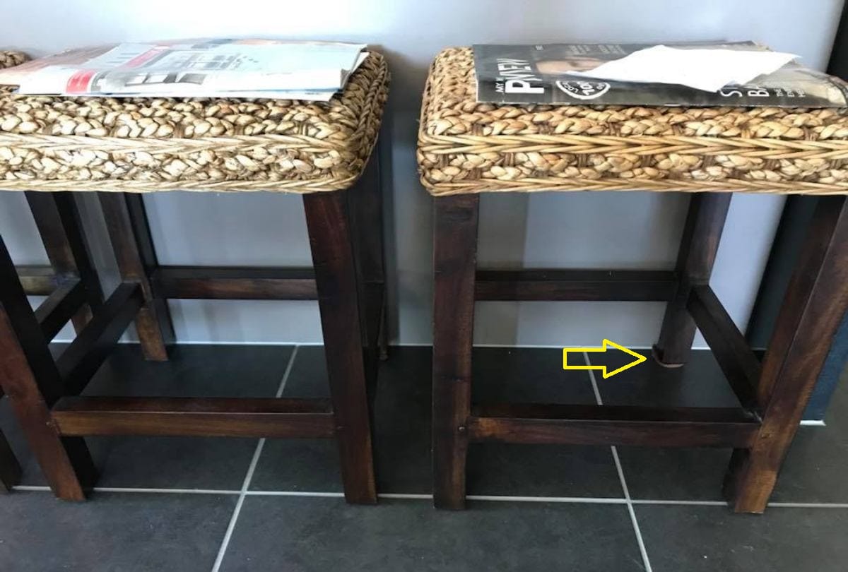 Can You Spot The Snake In This Picture