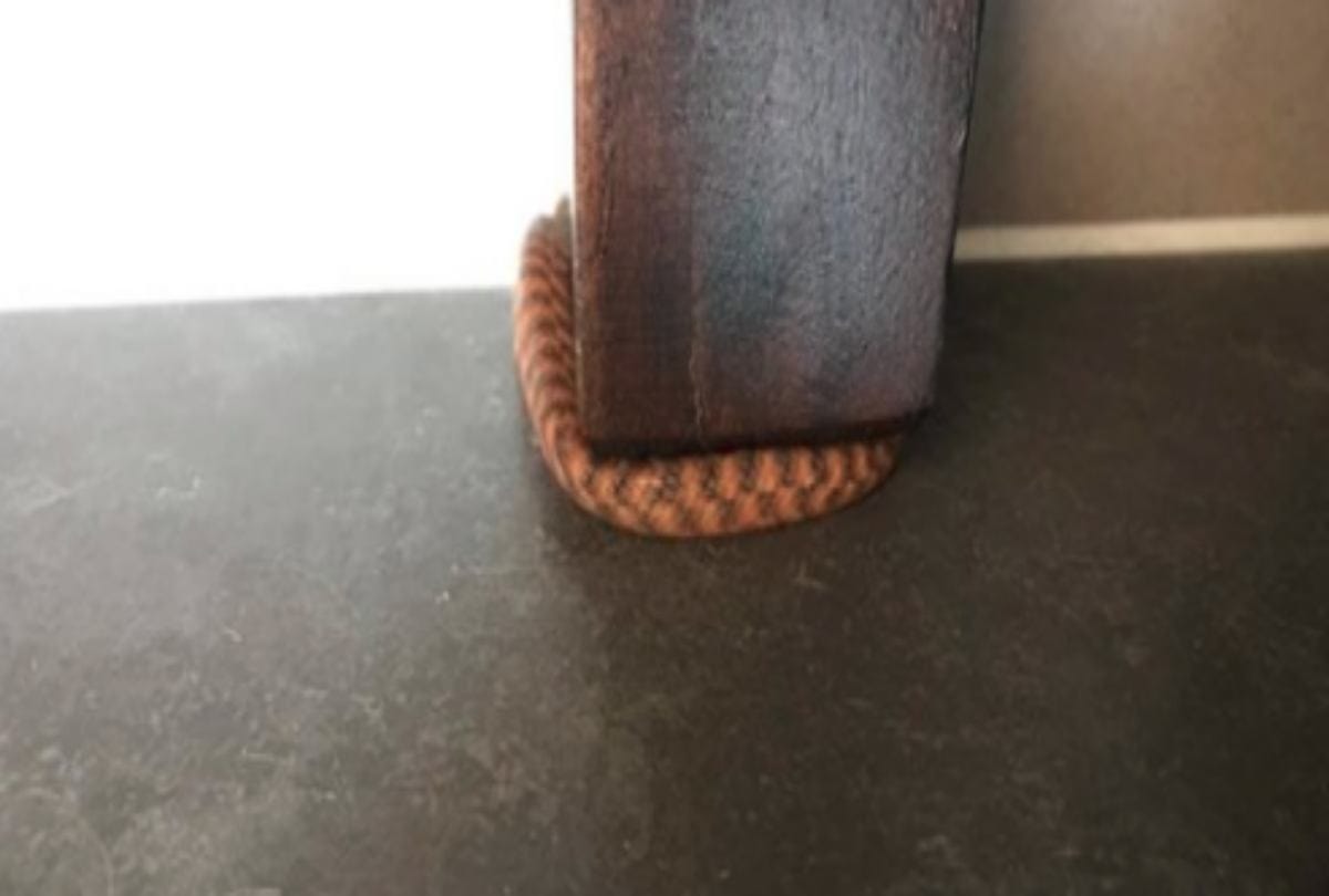 Can You Spot The Snake In This Picture
