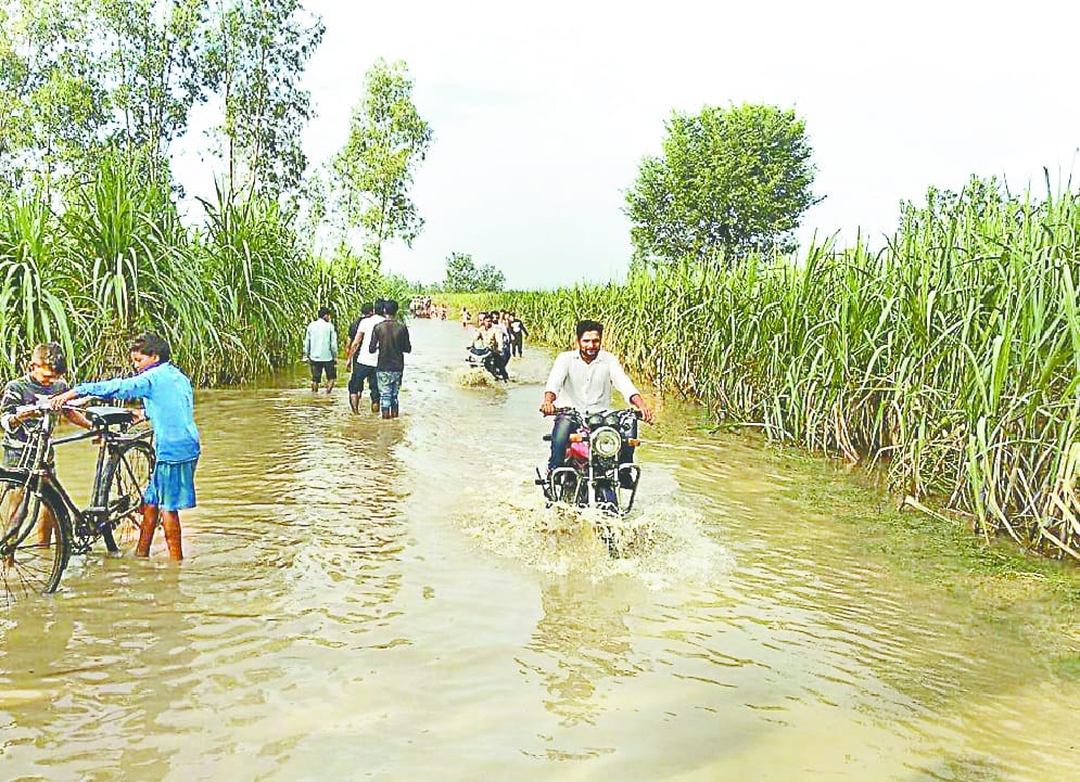 On the Ganga boom, the danger of flooding in several villages