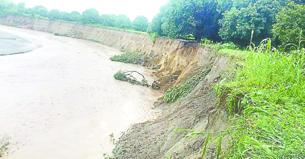 Threatened by Malan River on Beiruvala Farm