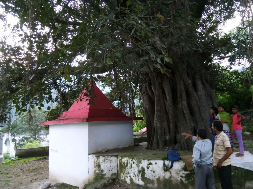viper in this temple from sawan last monday people called sheshnaag