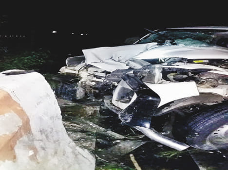 Scorpio overturns on Express-Way, two businessmen die