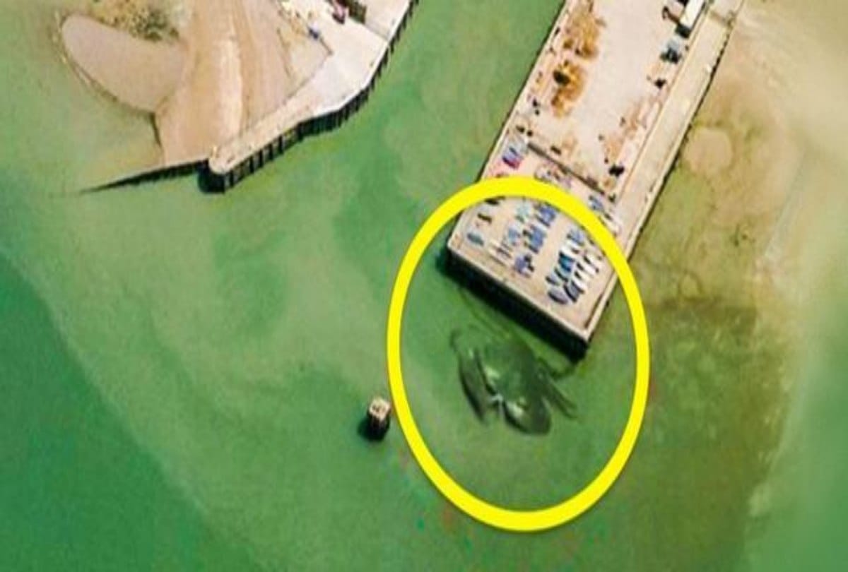 Most Controversial Things Ever Found on Google Maps