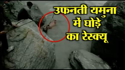 SDRF RESCUED A HORSE FROM YAMUNA RIVER IN UTTARKASHI