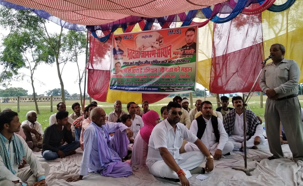 गाय को राष्ट्रीय पशु घोषित करने की मांग