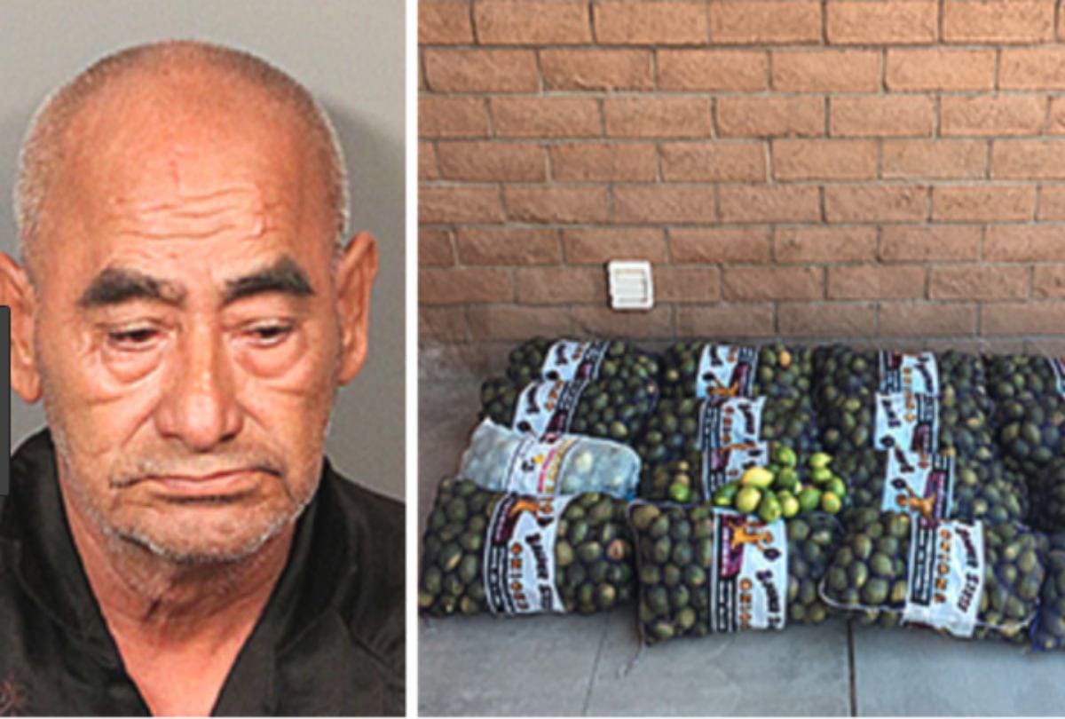 Man Steals 362 kilogram lemons at Riverside County in Los Angeles