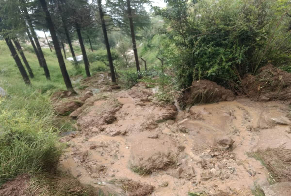 year ender himachal: 343 people lose their life due to natural calamities this years