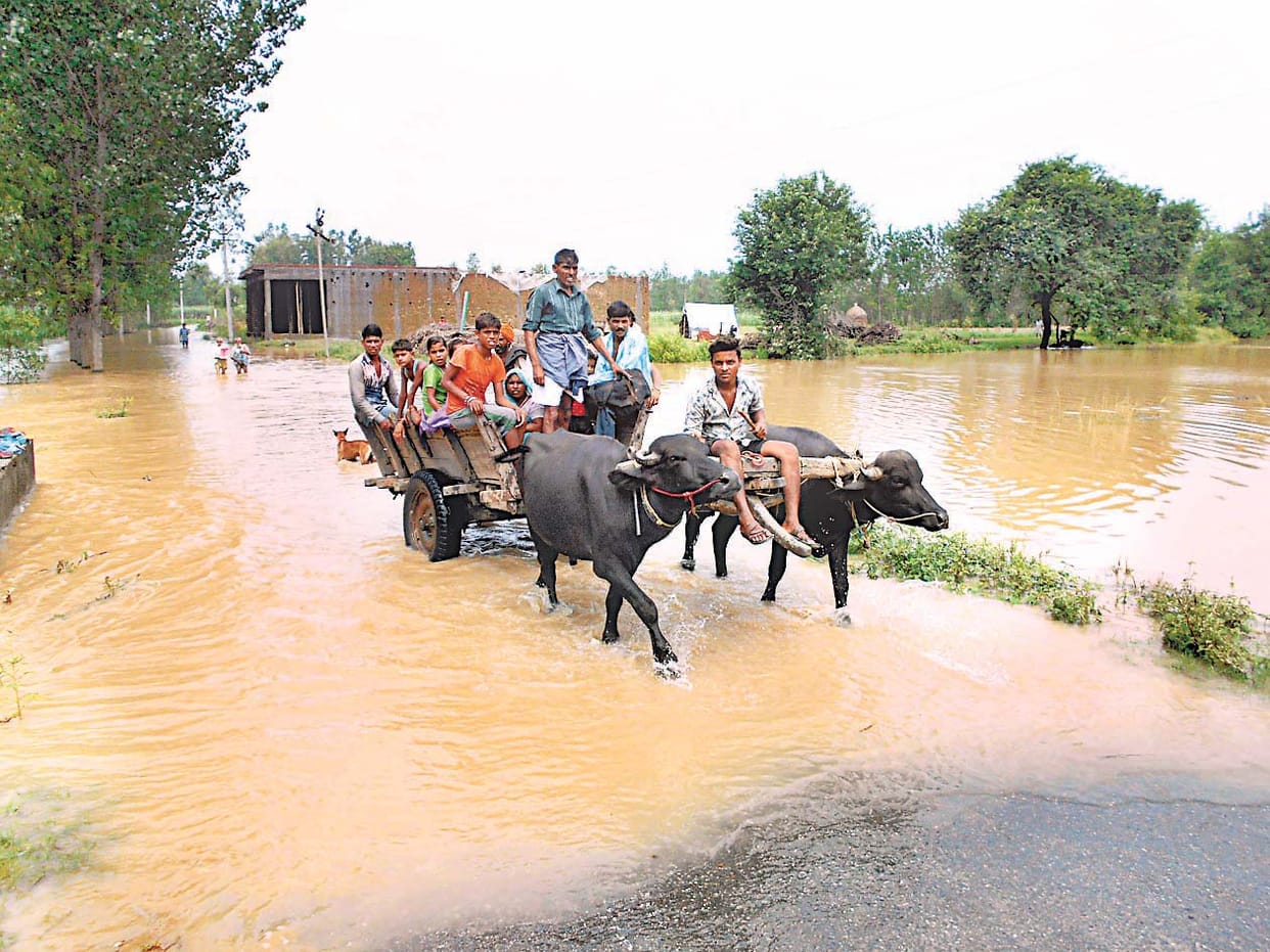 water reached on road