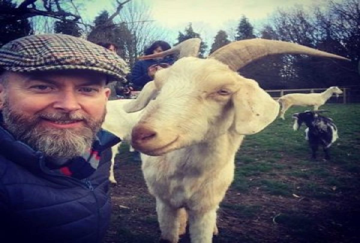 Disclosed in research, Goats know the difference between angry and smiling faces