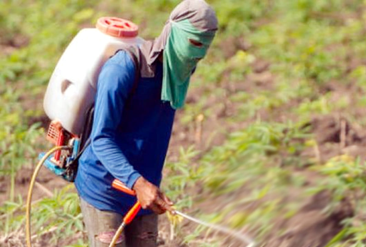 These 5 remedies must be avoided to avoid the side effects of chemical fertilizers and to be healthy